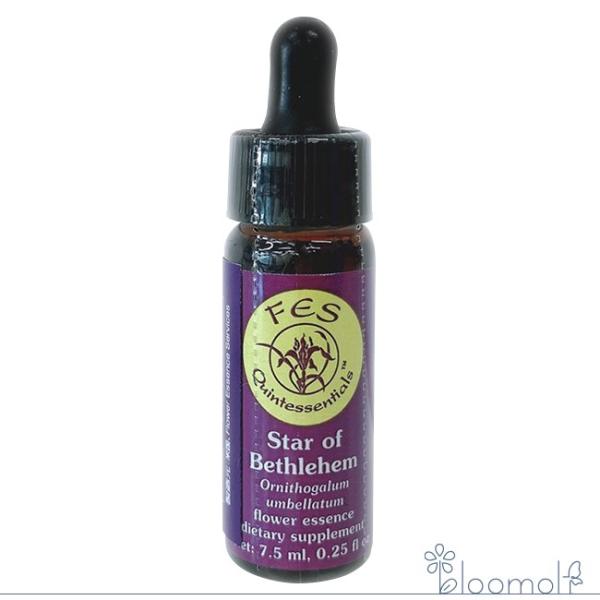 スターオブベツレヘム FESフラワーエッセンス リサーチバッチ 7.5ml Star of Beth...