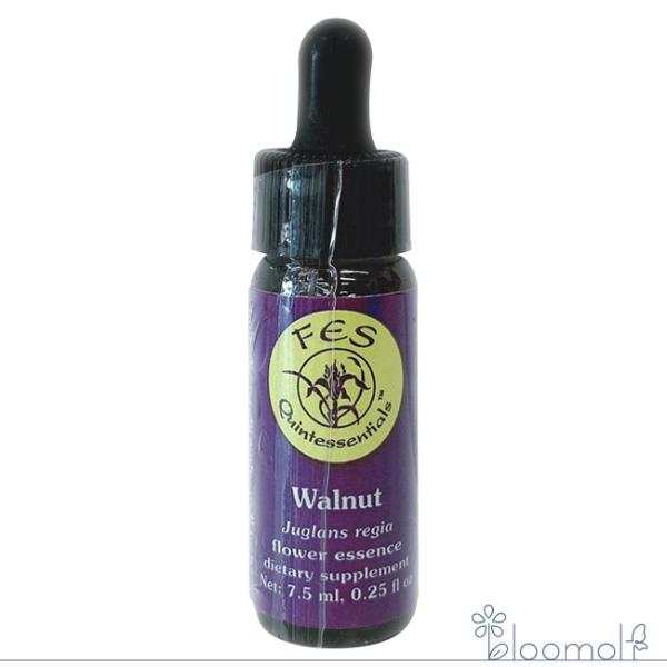 ウォールナット FESフラワーエッセンス リサーチバッチ 7.5ml Walnut
