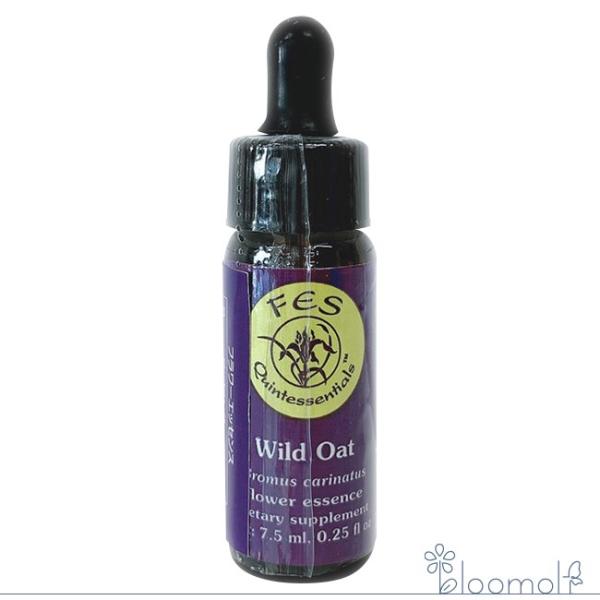 ワイルドオート FESフラワーエッセンス リサーチバッチ 7.5ml Wild Oat