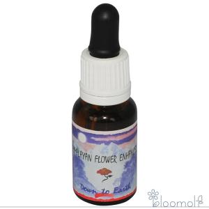 ヒマラヤン フラワー エンハンサーズ エクスタシー ( 15ml )/ : 爽快