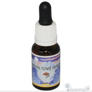 フラワーエッセンス ヒマラヤンエンハンサーズ チャクラキット 全8本