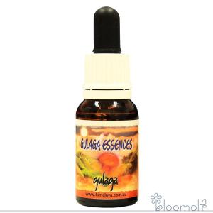 ヒマラヤン フラワー エンハンサーズ グラガ ( 15ml )/ : 爽快ドラッグ