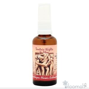 ヒマラヤン フラワー エンハンサーズ エクスタシー ( 15ml )/ : 爽快