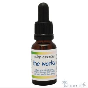 ヒマラヤン フラワー エンハンサーズ エクスタシー ( 15ml )/ : 爽快