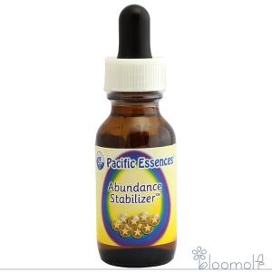 アバンダンスプログラムセット 日本語訳付 ( 1セット )/ パシフィック