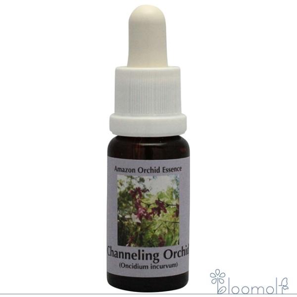 フラワーエッセンス コルテPHIエッセンス アマゾンオーキッドエッセンス チャネリングオーキッド