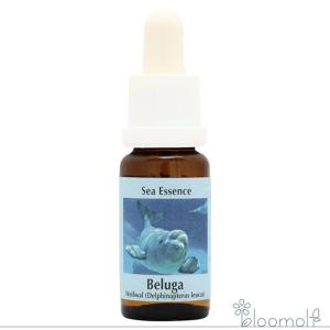 ピンクイルカエッセンス ( 15ml )/ コルテPHI : 爽快ドラッグ - 通販