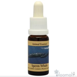 ピンクイルカエッセンス ( 15ml )/ コルテPHI : 爽快ドラッグ - 通販