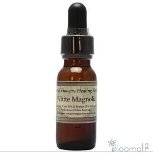 アバンダンスエッセンス ( 30ml )/ パシフィックエッセンス : 爽快