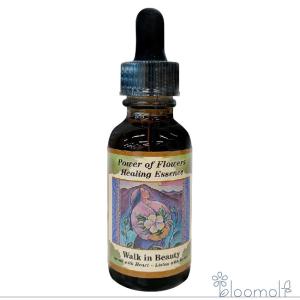 フラワーエッセンス アラスカン・エッセンス リサーチエッセンス