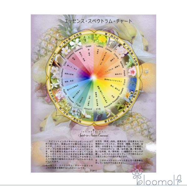 フラワーエッセンス スピリットインネイチャー その他 エッセンス・スペクトラム・チャート