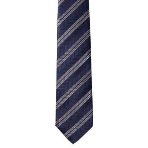 ダニエルウェリントン ネクタイ NAVY Daniel Wellington DW02500008