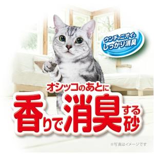 【ケース販売】デオサンド オシッコのあとに香り...の詳細画像1