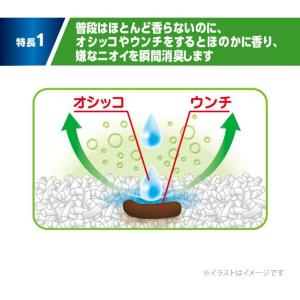 【ケース販売】デオサンド オシッコのあとに香り...の詳細画像2