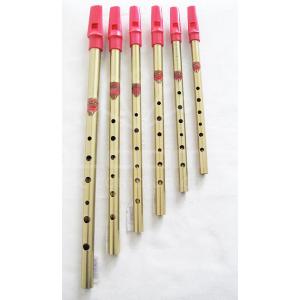 GENERATION tin whistle（ジェネレーション / ティン・ホイッスル