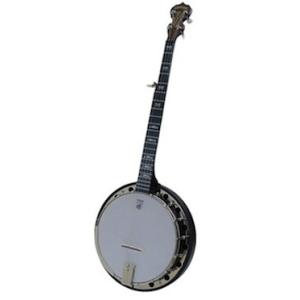 Deering A2 GOODTIME TWO ARTISAN BANJO BANJO バンジョー｜bloomz