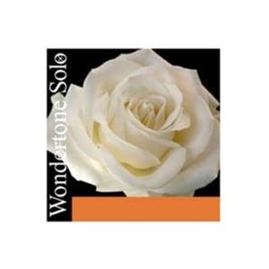 ◎  Pirastro ピラストロ / Wondertone Solo ワンダートーン