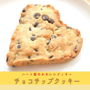 チョコチップクッキー 【北海道産小麦・よつ葉バター・素精糖・有機くるみ】｜blossom-shop