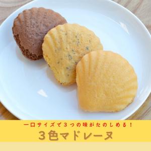 ３色マドレーヌ　北海道産小麦・よつ葉バター・素精糖使用｜blossom-shop