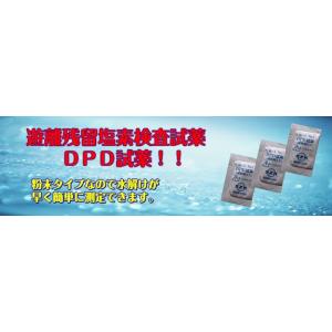 DPD試薬 100包入り 残留塩素測定用 粉末...の詳細画像1