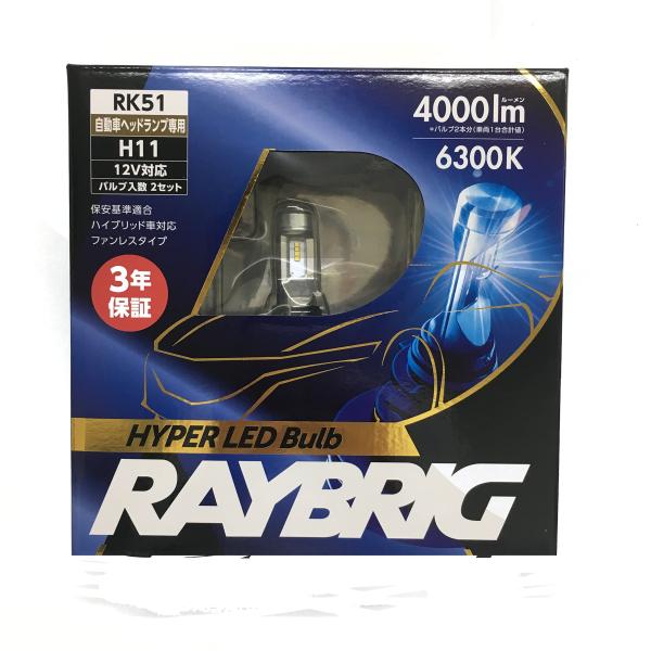 RAYBRIG(レイブリック)LEDヘッドライトランプ H11 6300K RK51