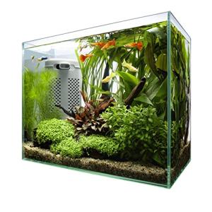 テトラ  ラウンドグラスアクアリウム300LEDセット RG-30 Tetra テトラ ラウンドグラスアクアリウム RG-30 : アクアリウム