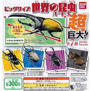 ビッグサイズ 世界の昆虫 パート3 [全7種セッ...の商品画像