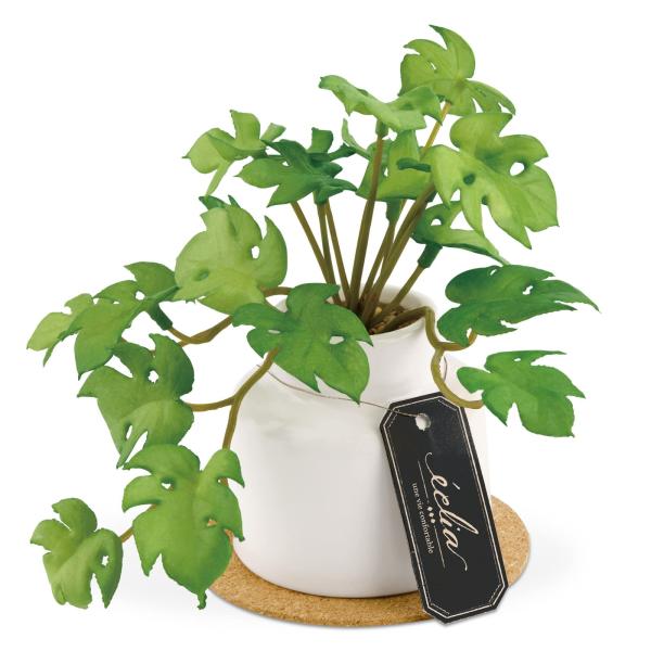 キシマ kishima 人工観葉植物 フェイクグリーン 人工植物 枯れない 造花グリーン 触媒 消臭...