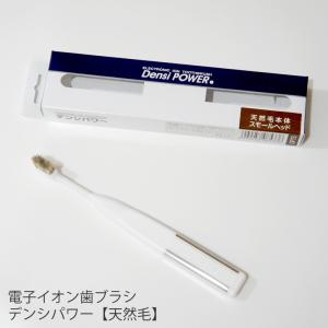 アパホテルオリジナル歯ブラシ10本セット（柄色：クリーム（白