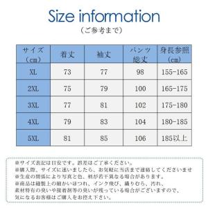 レインウェア 上下セット レインコート ポケッ...の詳細画像1