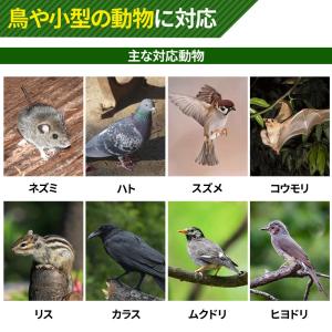鳥よけ グッズ フクロウ ベランダ 鳥除け 音...の詳細画像2