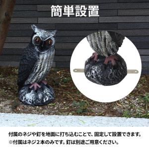 鳥よけ グッズ フクロウ ベランダ 鳥除け 音...の詳細画像3