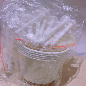 送料無料 鼻毛脱毛 除毛 鼻毛ケア ブラジリア...の詳細画像2