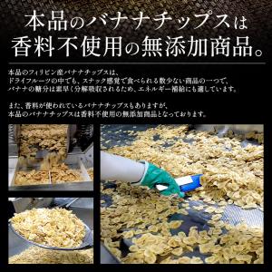 バナナチップス&ソフトマンゴー 500g バナ...の詳細画像2