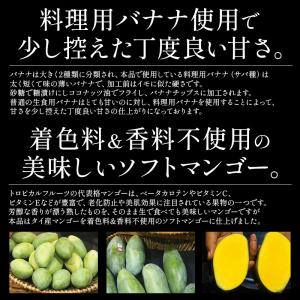 バナナチップス&ソフトマンゴー 500g バナ...の詳細画像3