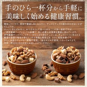 チョコナッツ 500g 種類が選べる 素焼き ...の詳細画像2