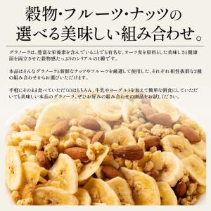 種類が選べる フルーツ グラノーラ グラノラ ...の詳細画像2