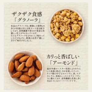 種類が選べる フルーツ グラノーラ グラノラ ...の詳細画像3