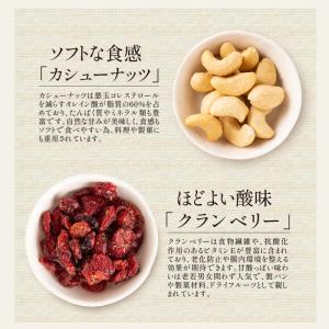 種類が選べる フルーツ グラノーラ グラノラ ...の詳細画像4
