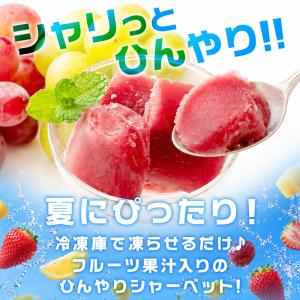 凍らせて食べる アイス 6本 果汁入り フルー...の詳細画像2