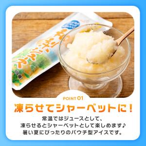 凍らせて食べる アイス 6本 果汁入り フルー...の詳細画像3