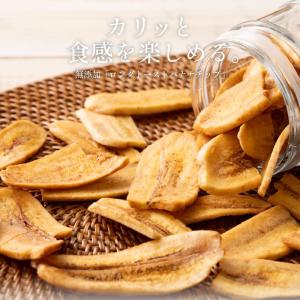 無添加 バナナチップス バナナ チップス ロン...の詳細画像1