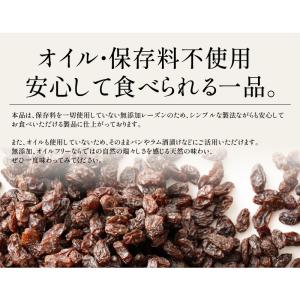 レーズン ノンオイル 700g 無添加 砂糖不...の詳細画像2