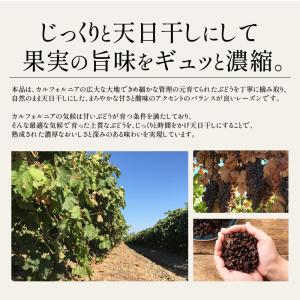 レーズン ノンオイル 700g 無添加 砂糖不...の詳細画像3
