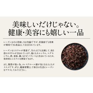 レーズン ノンオイル 700g 無添加 砂糖不...の詳細画像4