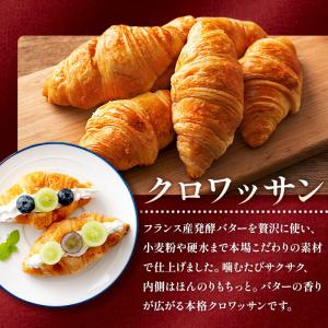 フランス産 ホテルパン 選べる ミニ クロワッ...の詳細画像5