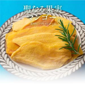 ソフトマンゴー ドライマンゴー 300g マン...の詳細画像1