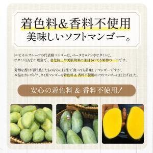 ソフトマンゴー ドライマンゴー 300g マン...の詳細画像2