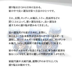 盛り塩 ラピスラズリ <2個セット + さざれ...の詳細画像3