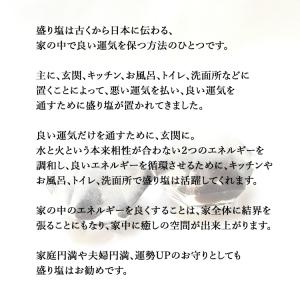 盛り塩 モリオン黒水晶 隕石(メテオライト)ヒ...の詳細画像3